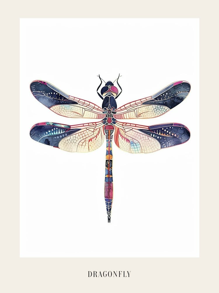 Colourful Insect Illustration Dragonfly 15 Poster
