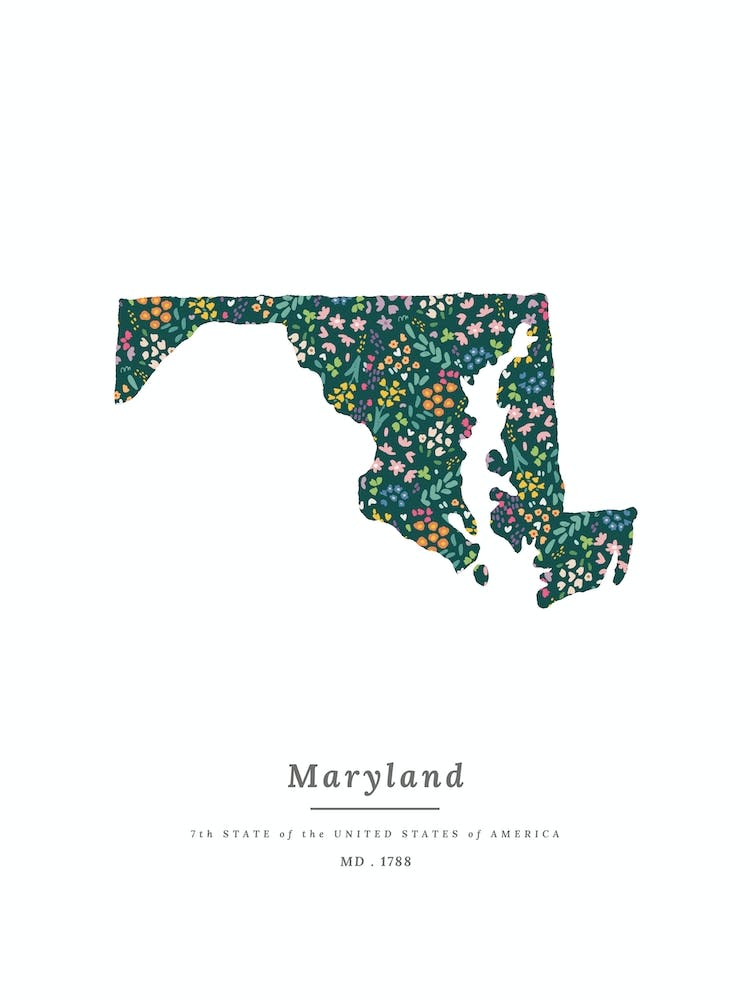 Maryland State | Wildflowers on Juniper Green