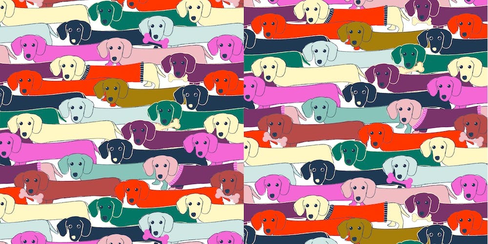 Long Dog Pattern