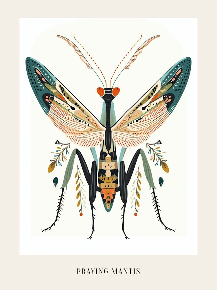 Colourful Insect Illustration Praying Mantis 8 Poster