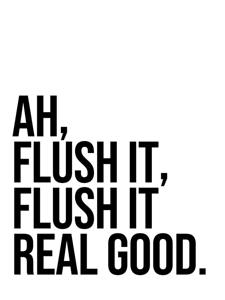 Flush It Real Good funny bathroom decor 1