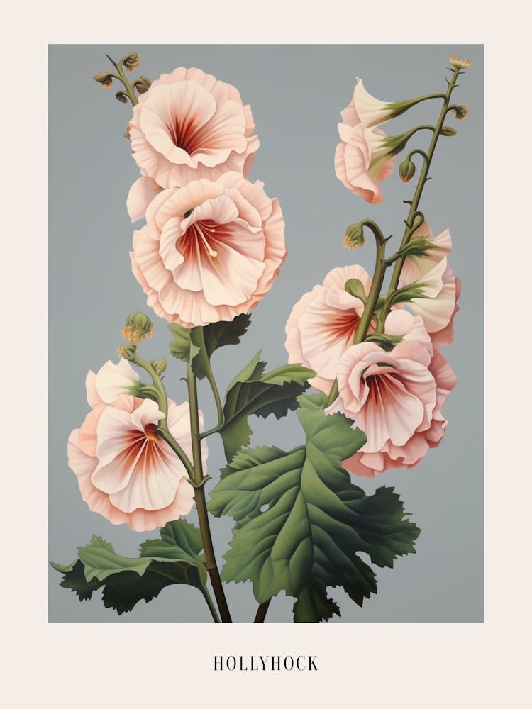 Floral Illustration Hollyhock 2 Poster