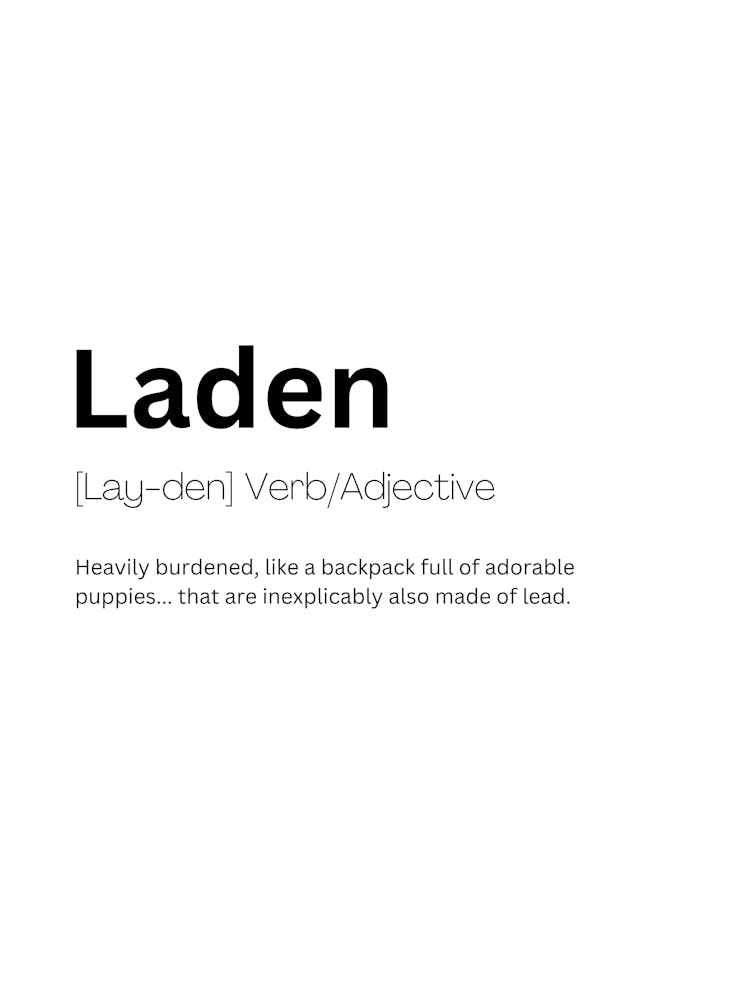 Laden Definition Meaning