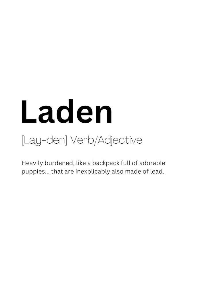 Laden Definition Meaning
