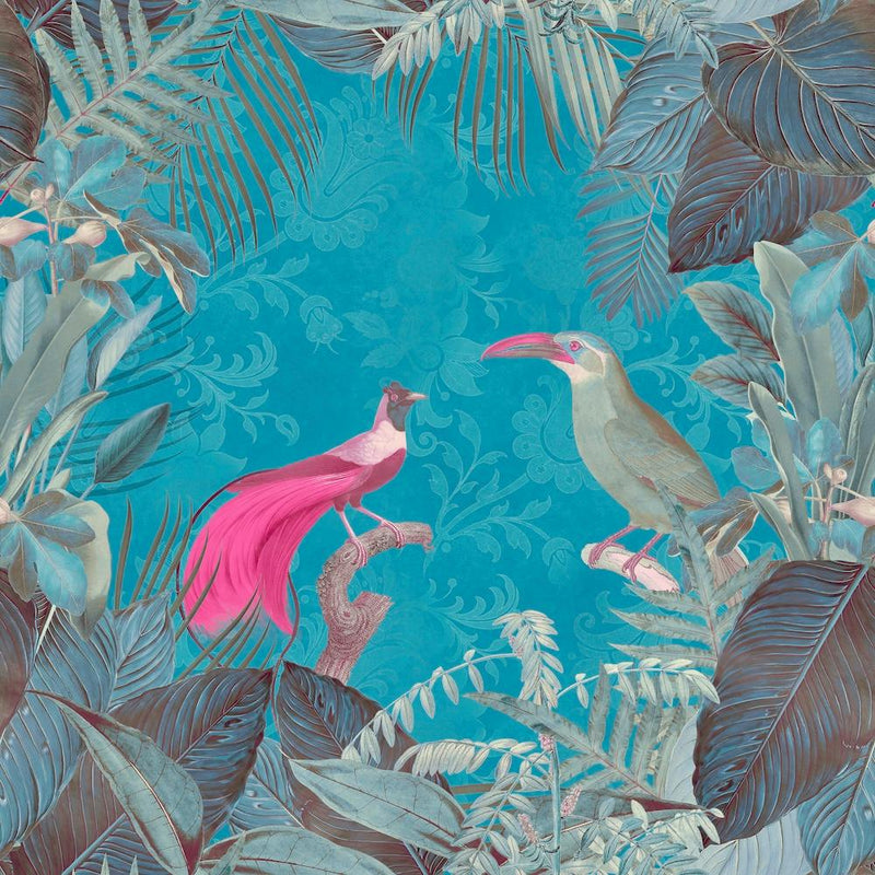 Birds Of Paradise