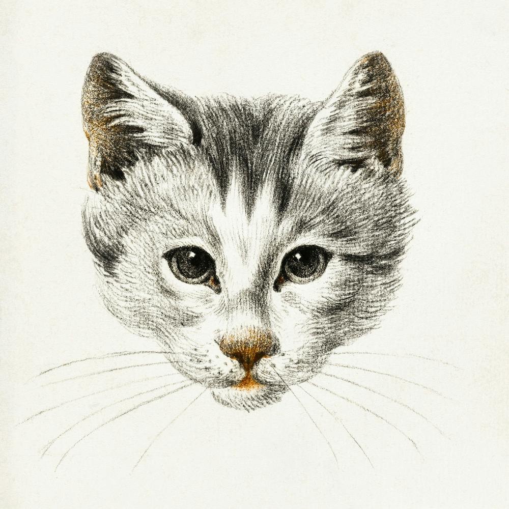 Sketch Of A Cat (1812), Jean Bernard