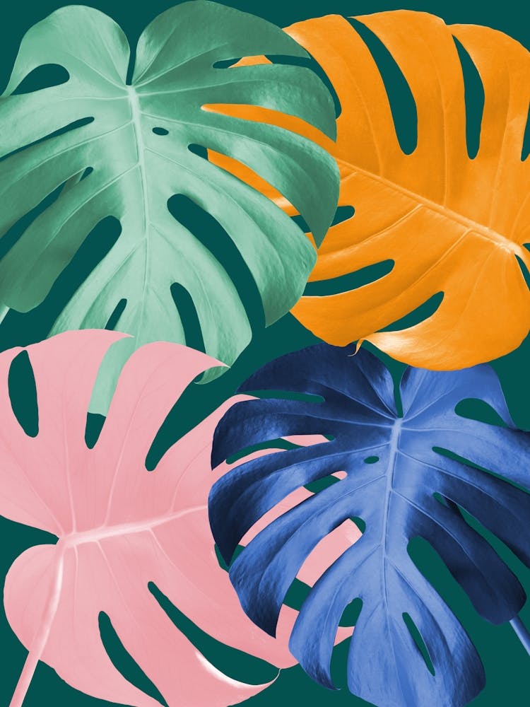 Floral collage 5