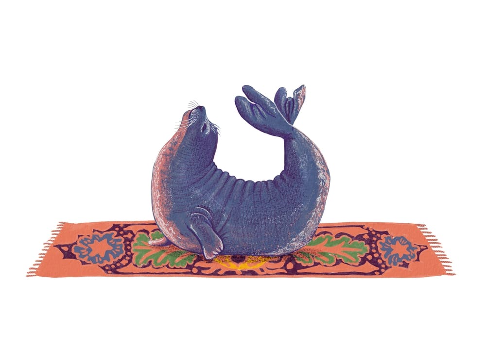 Seal Stretch - Animal Yoga