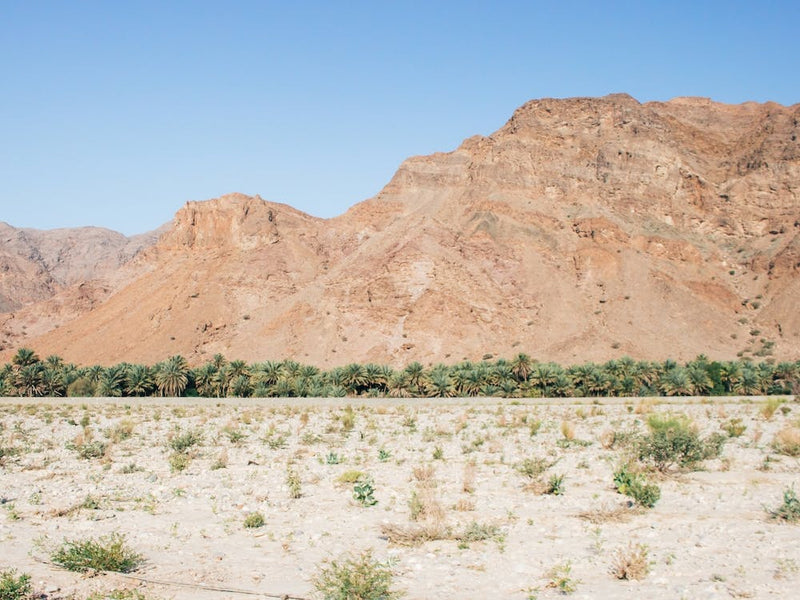 Rocky Desert Landscape 2
