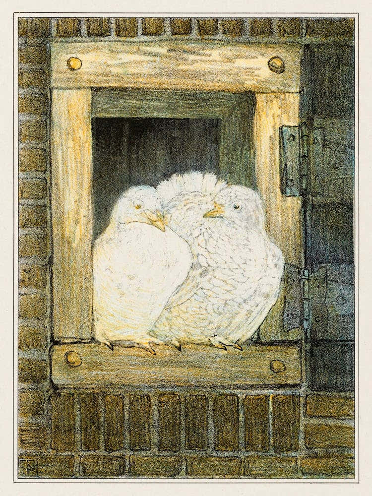 White Pigeons In A Window (1878–1910), Theo Van Hoytema