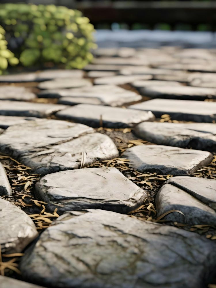 Stone Walkway