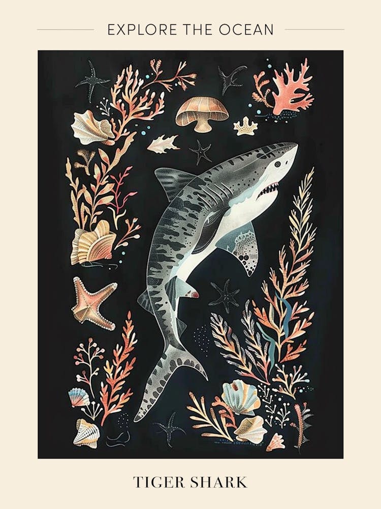 Tiger Shark Seascape Black Background Illustration 2 Poster