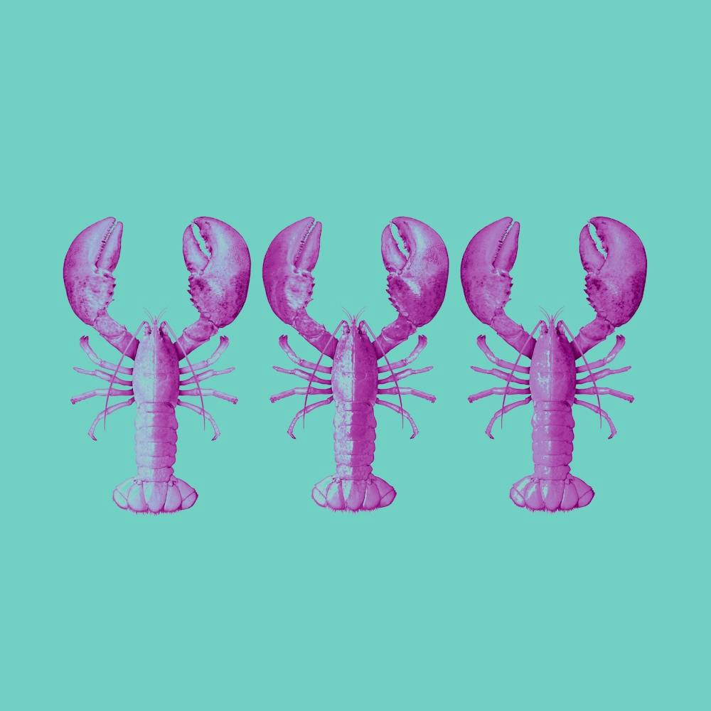 Drei Pinke Hummer, minimalistisch, Hintergrund Türkis