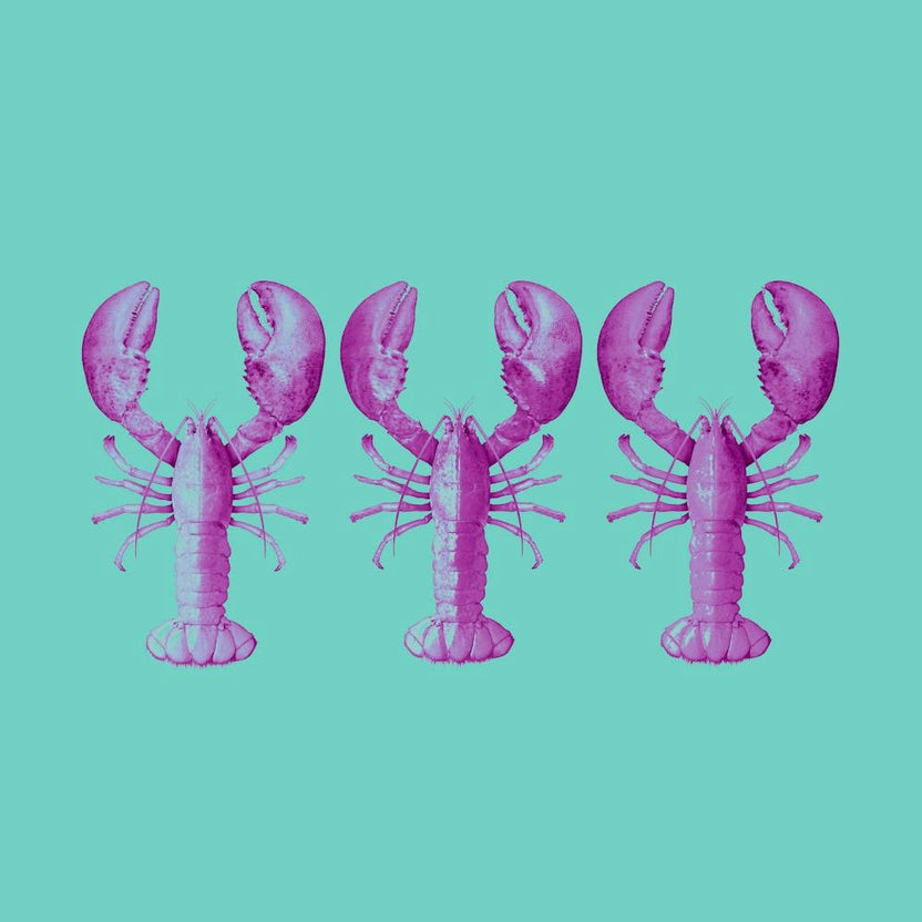 Drei Pinke Hummer, minimalistisch, Hintergrund Türkis
