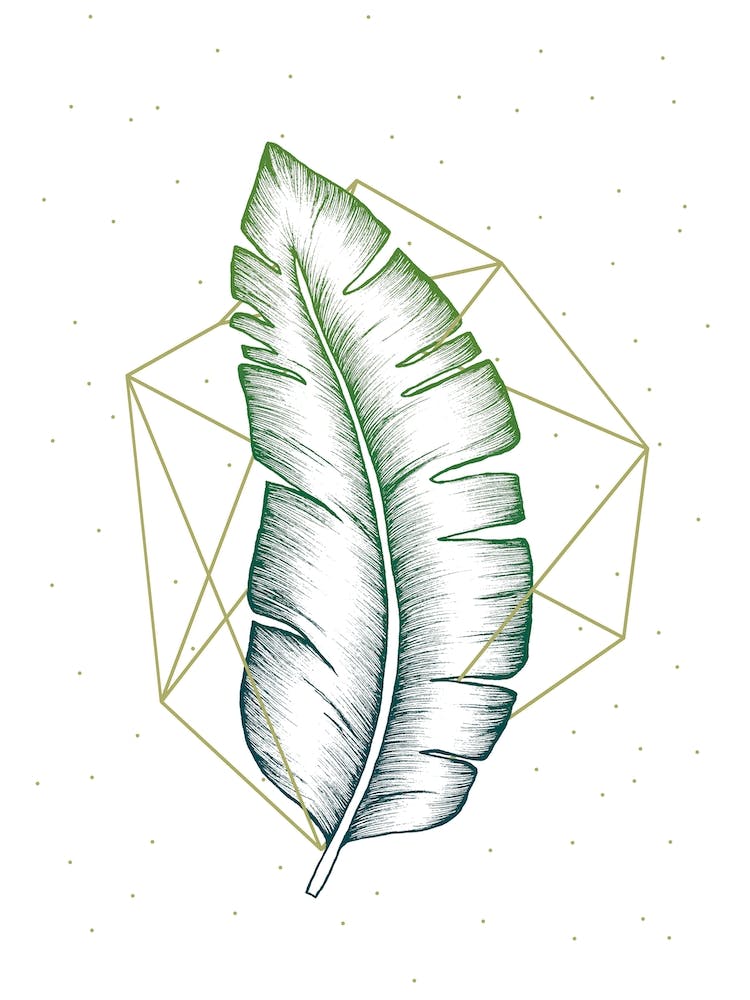 Geometry And Nature 5