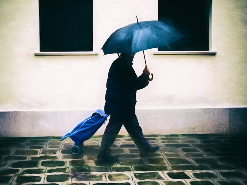 Walking In Rain Venice