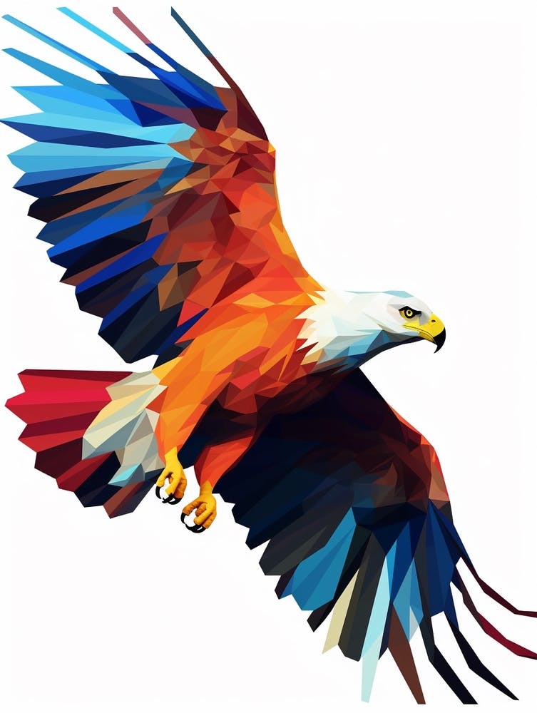 Colourful Geometric Bird Hawk