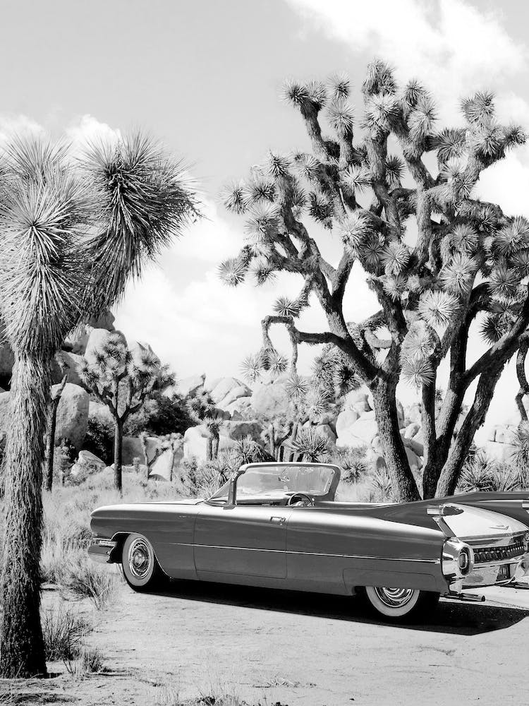 Vintage Road Trip - Black & White