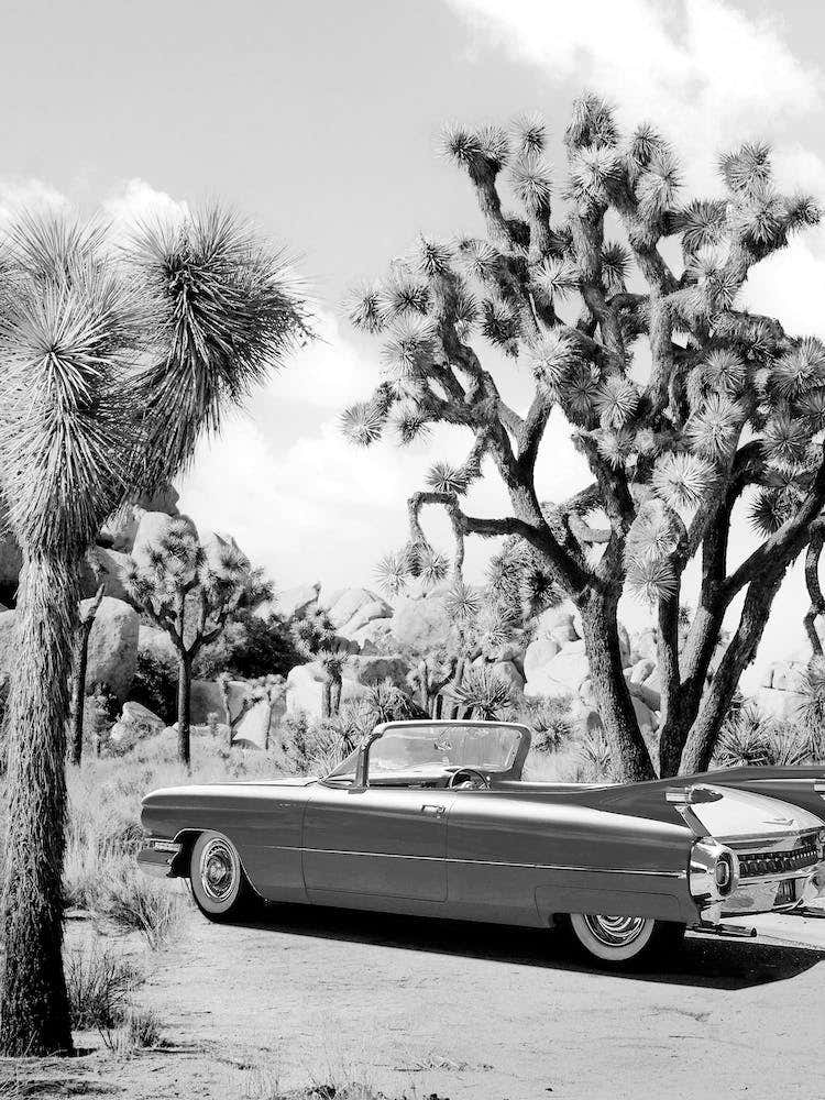 Vintage Road Trip - Black & White