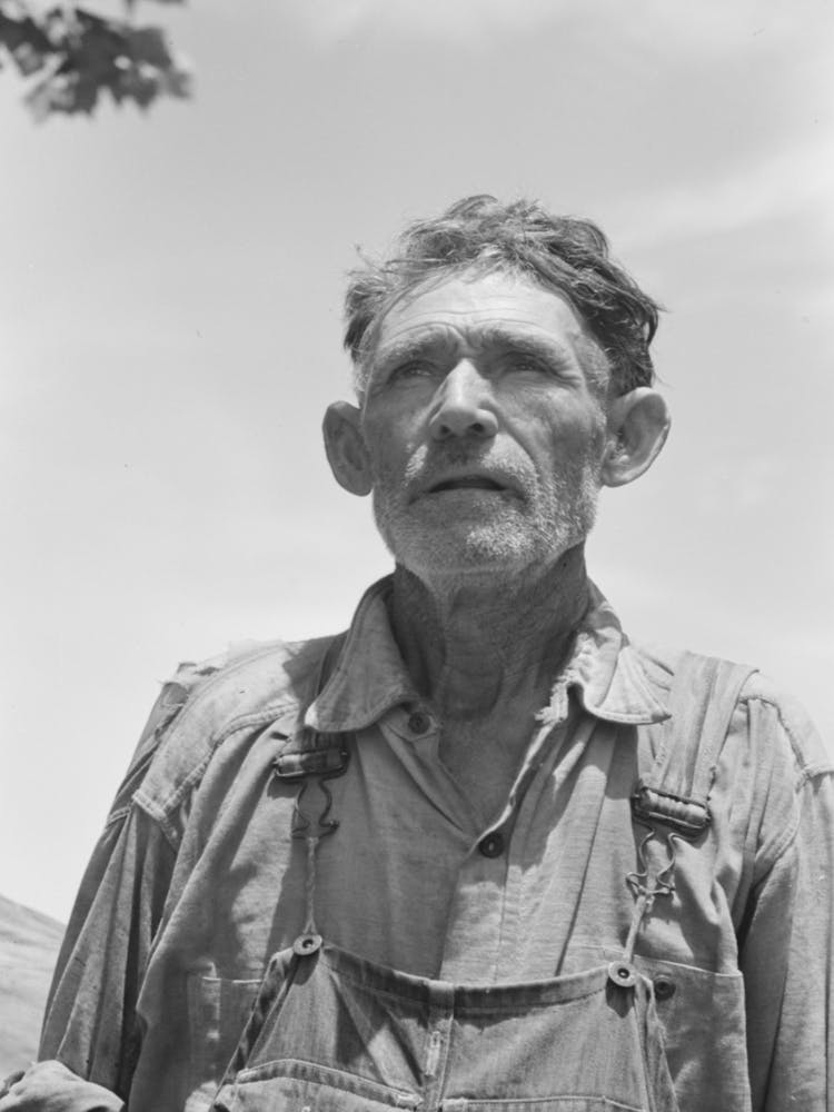 Untitled Photo, Possibly Related To Veteran Migrant Agricultural Worker, He Has Followed The Road For About Thirty