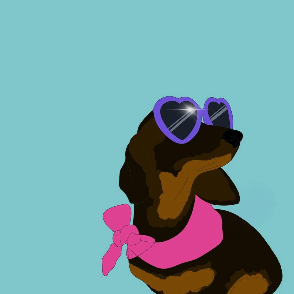 Pip le Teckel