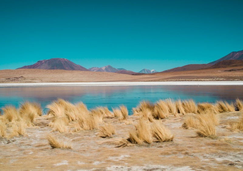 Laguna