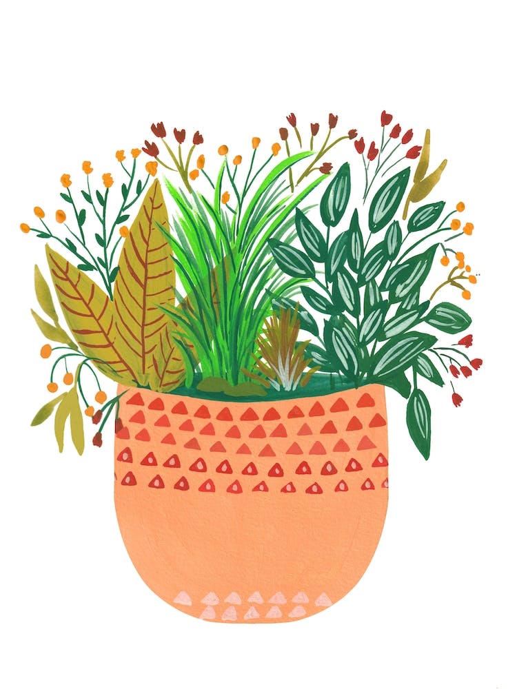 Assorted Potted Plants Jia