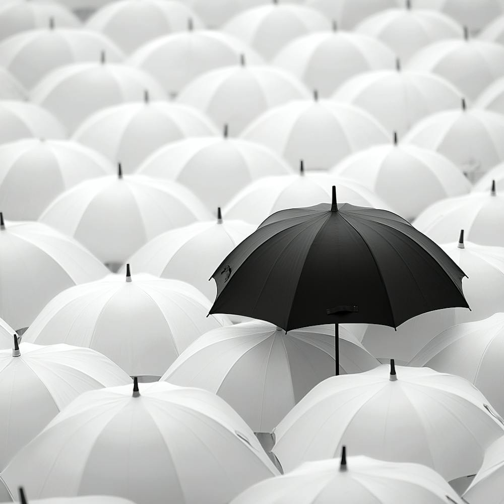 Black Umbrella In A Crowd