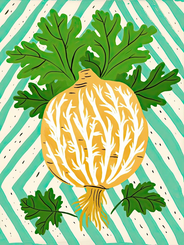 Celeriac Summer Illustration 5