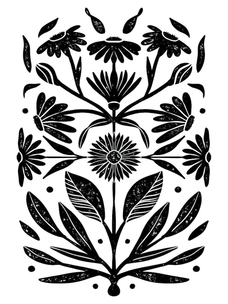 Asters Flowers September