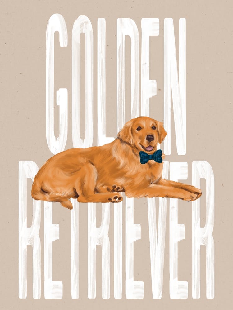 Golden Retriever Dog