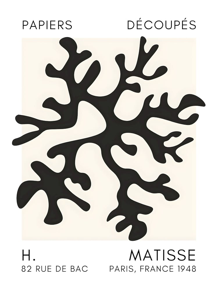 Matisse 40