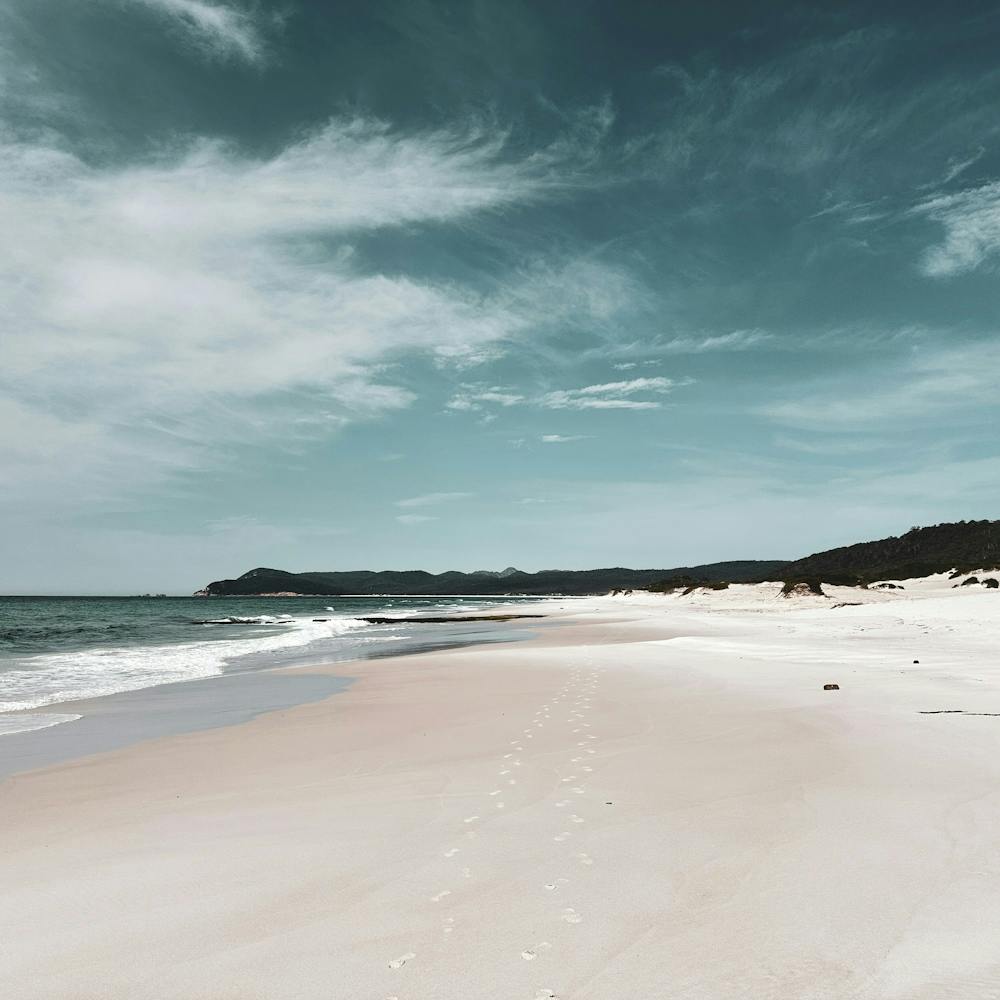 Beach Scene