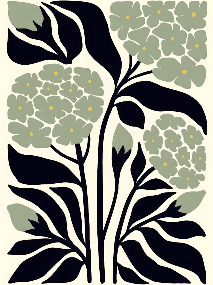 Hyacinth