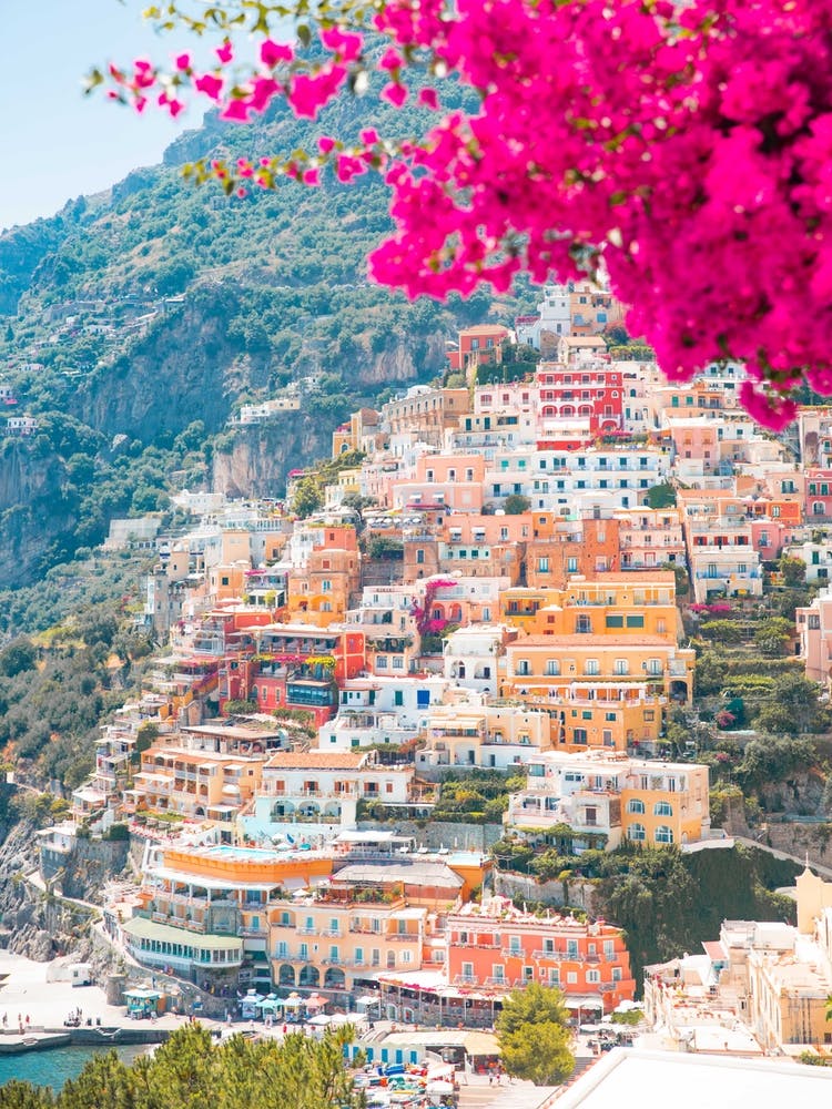 Positano Pink Flowers
