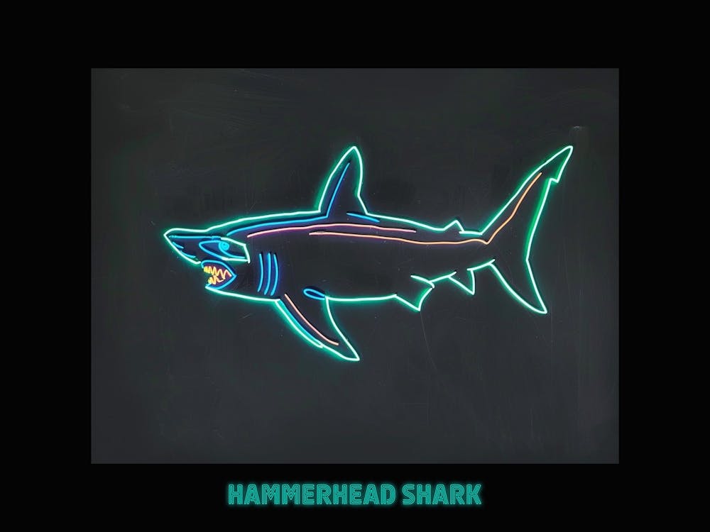 Aqua Hammerhead Shark 1 Poster