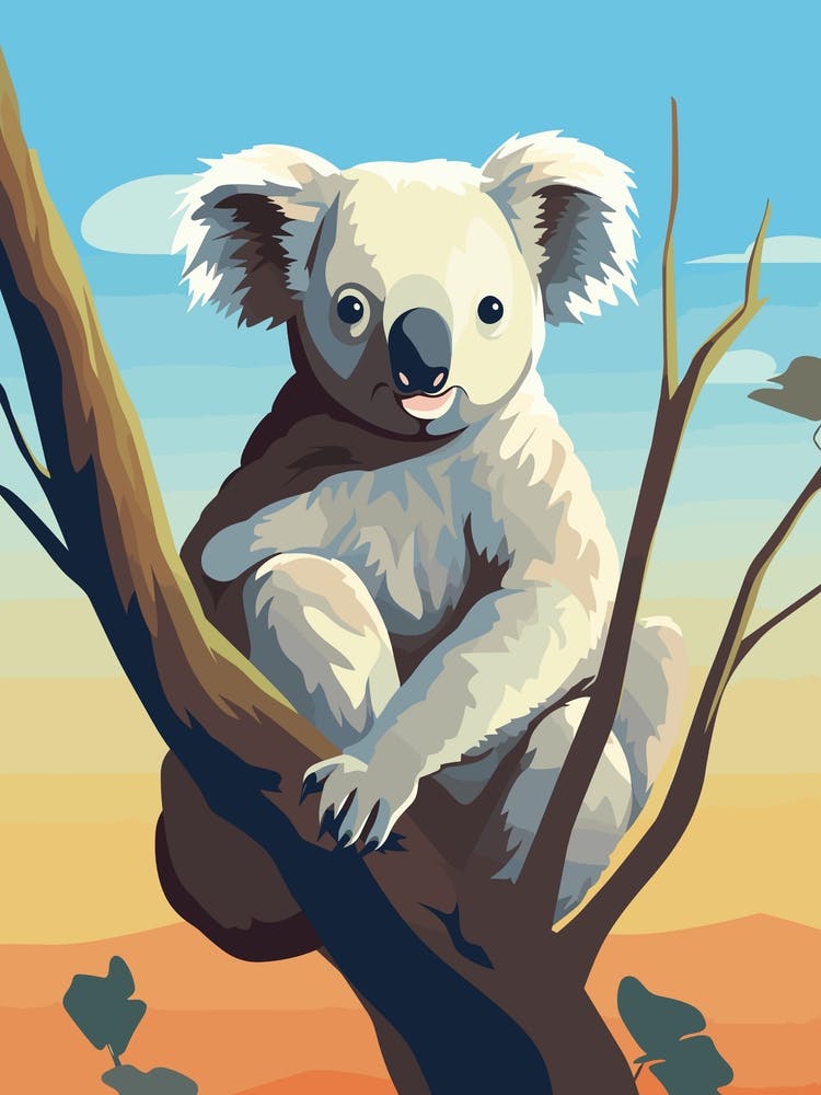 Koala in Australia
