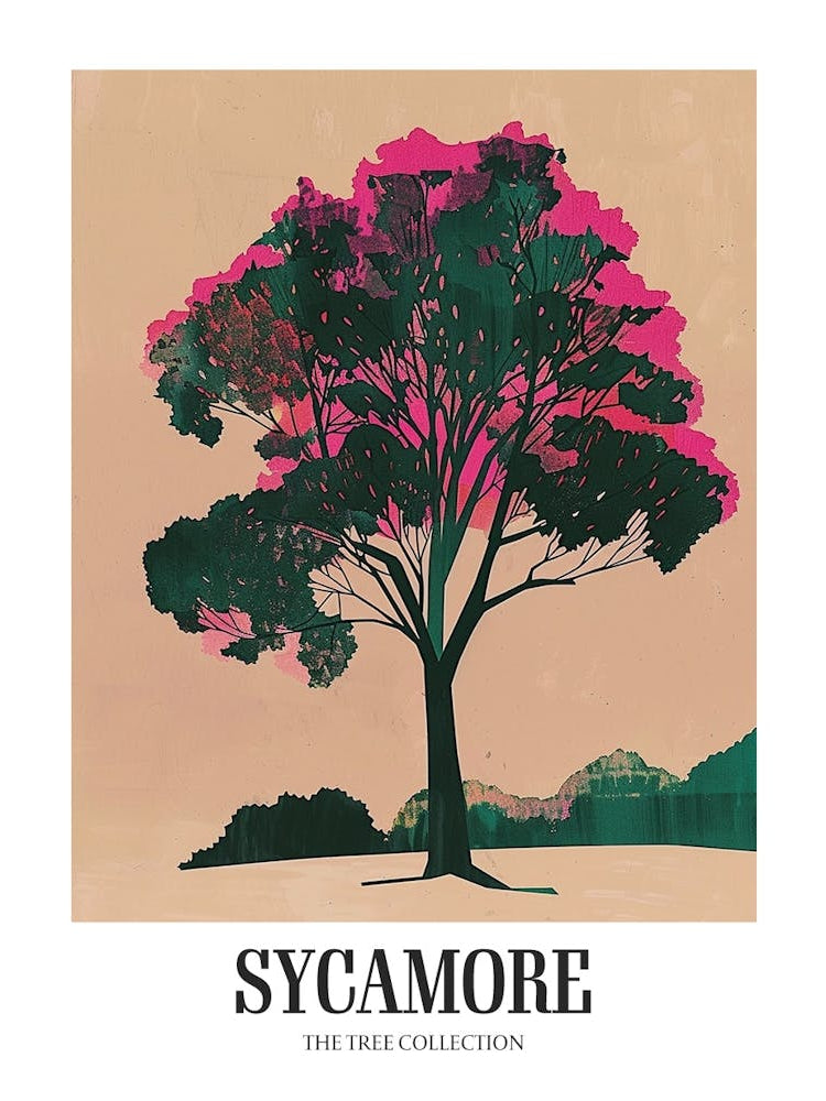 Sycamore Tree Colourful Illustration 3 Poster