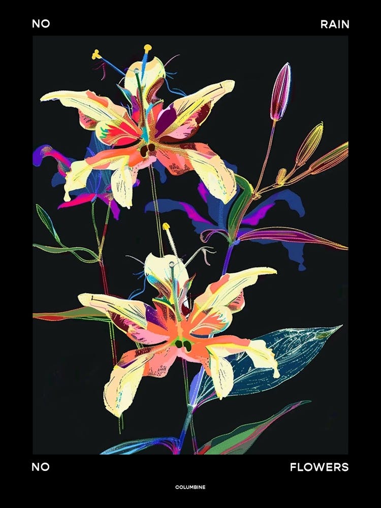 No Rain No Flowers Poster Columbine 2