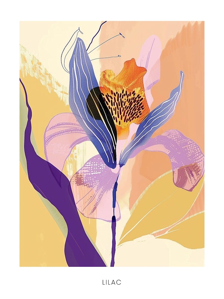 Colourful Flower Illustration Poster Lilac 3