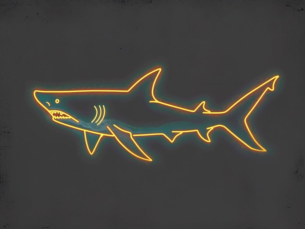 Neon Orange Carpet Shark 5