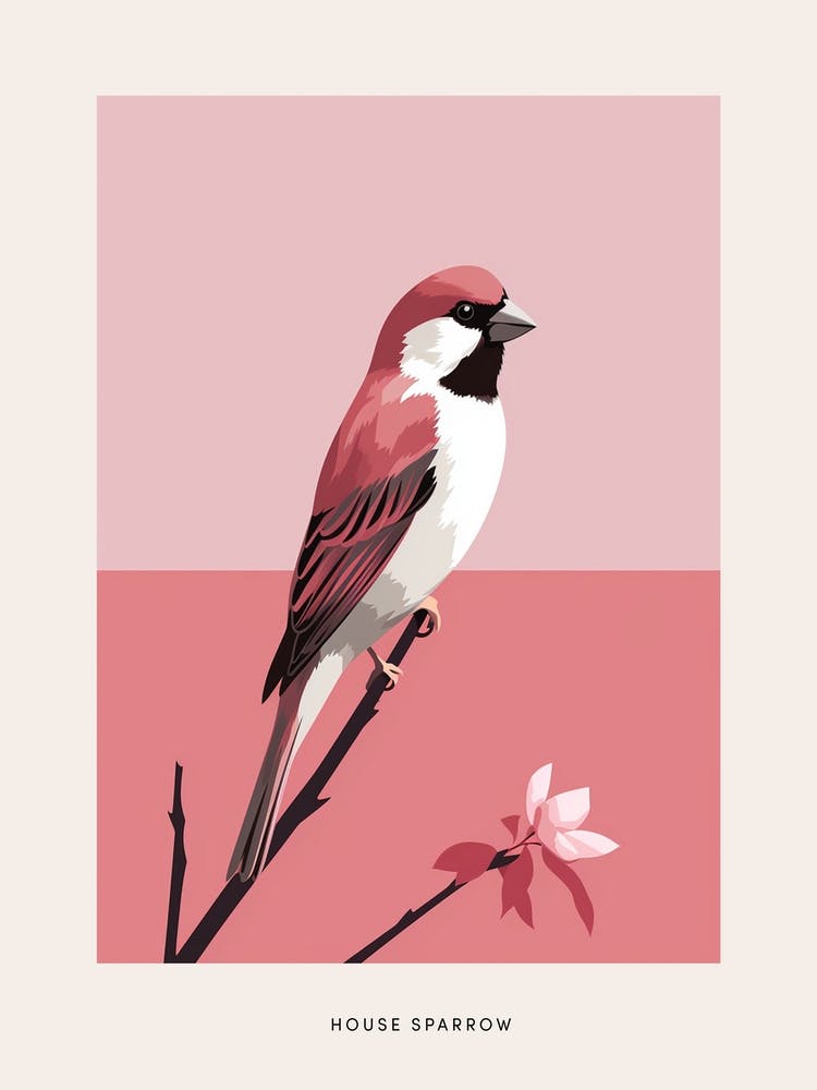 Minimalist House Sparrow 4 Bird Poster