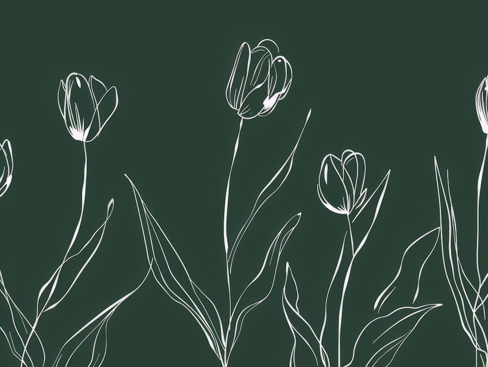 Tulips 15