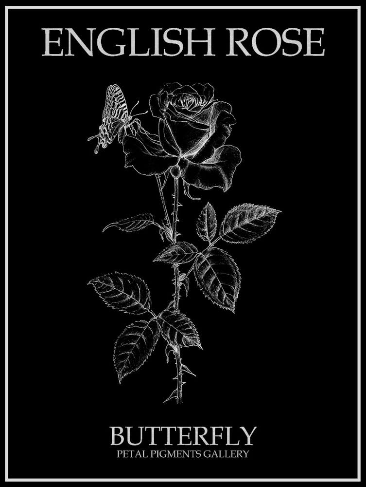 English Rose Butterfly Line Drawing 2 Poster Inverted