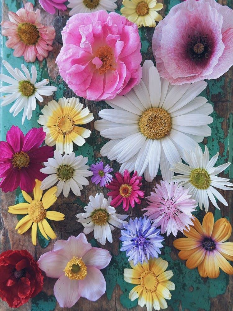 Pink And Green Floral