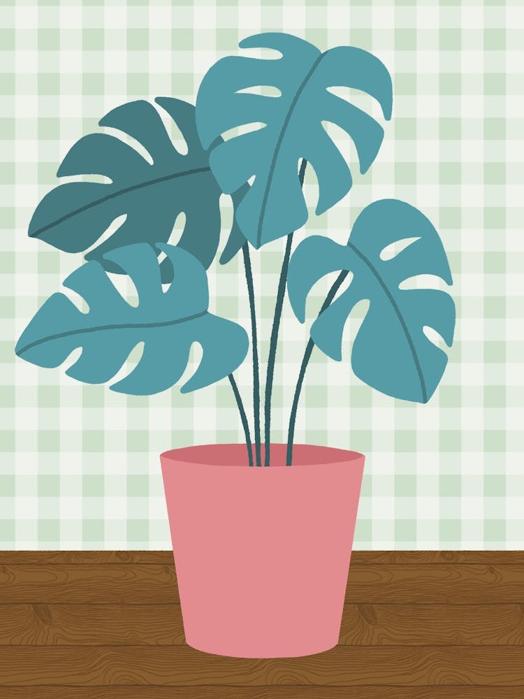 Plant In A Pot 2