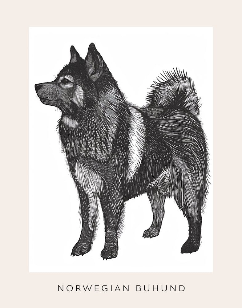 Norwegian Buhund Dog Line Sketch Poster