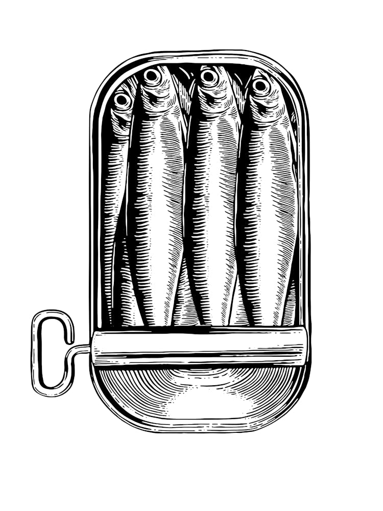 Fischkonserven In Der Dose