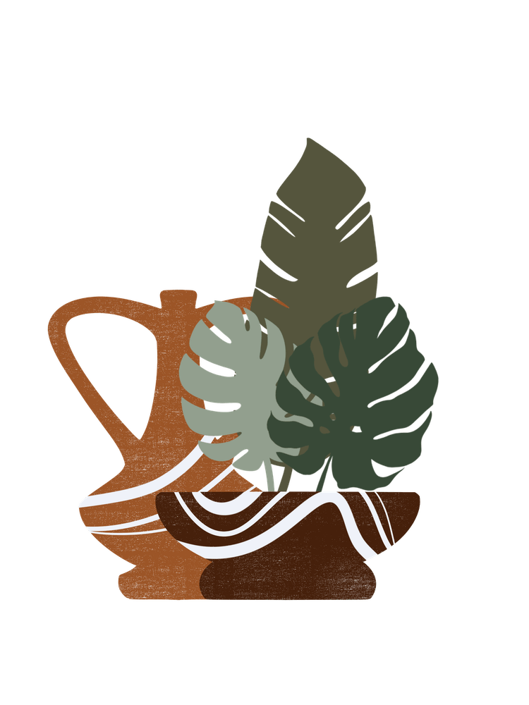 Terracotta Pot With Plants