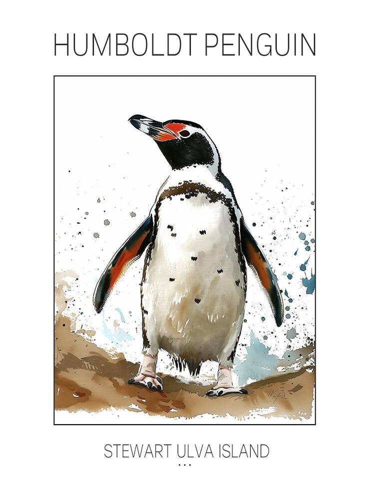 Humboldt Penguin Stewart Island Ulva Island Watercolour Painting 4 Poster
